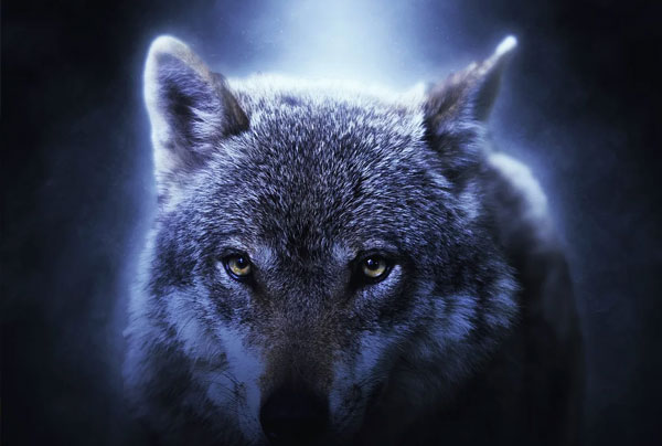 Soft Focus Paint Photoshop Action