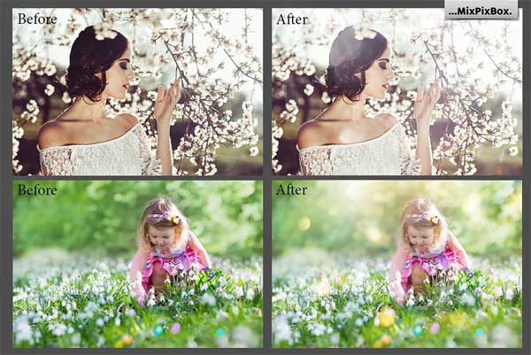Spring Sunbeams Photo Overlays