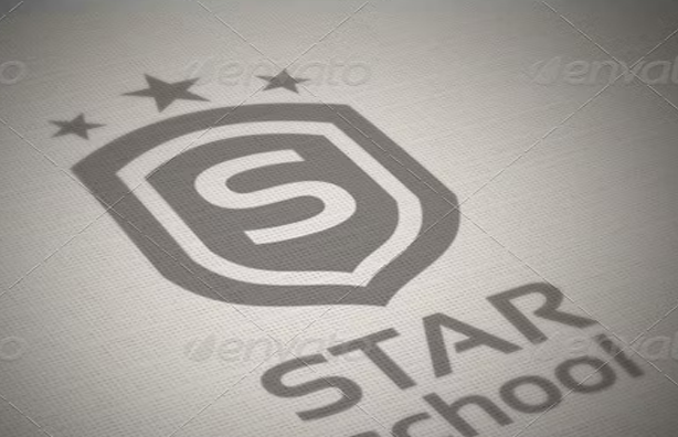 Star School Logo Design