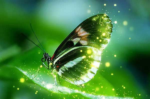 Stunning Sparkle Photoshop Action