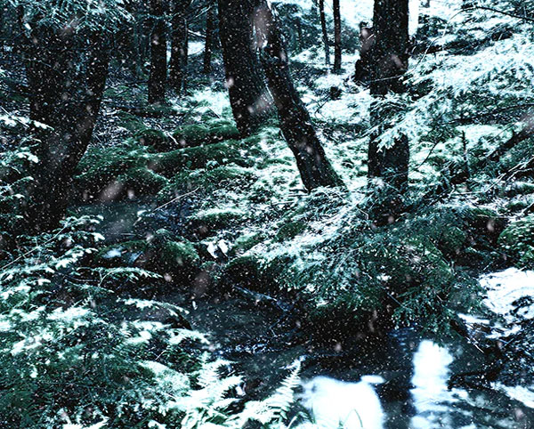 Summer to Winter Photoshop Action