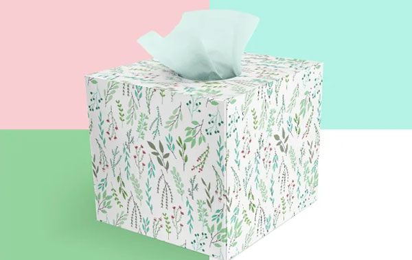 Tissue Box Mockups Photoshop Template