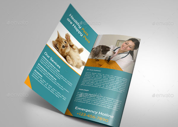 Trifold Brochure Recruitment Company
