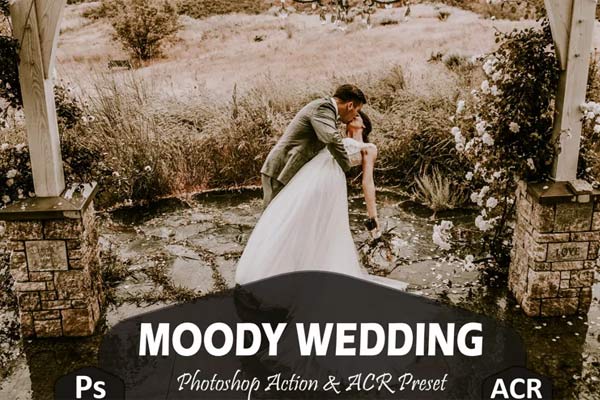 Vector Wedding Photos Template