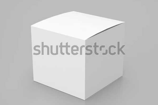 Vector Illustration Box Mockup Template