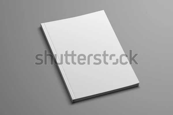 Vector Mockup Book Mockup For Business