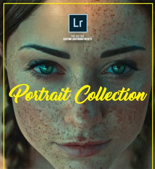 23+ Vsco Lightroom Presets | Free & Premium Photoshop Format Downloads