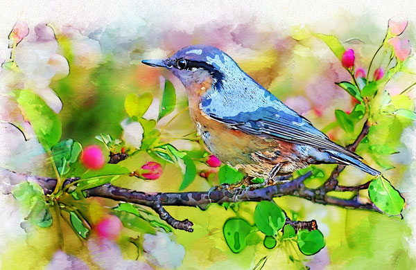 Watercolor Wash Photoshop Action