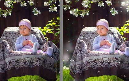 White and Pink Petals Overlays