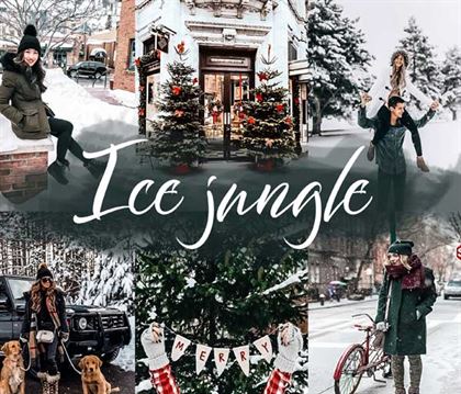 Winter Holiday Mobile Lightroom Presets